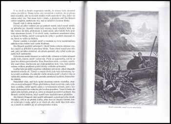 Jules Verne: Lodivod dunajský