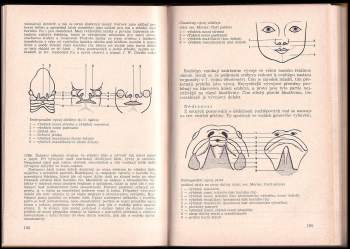 Miloš Sovák: Logopedie