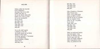 Pavel Kopta: Lov motýlů