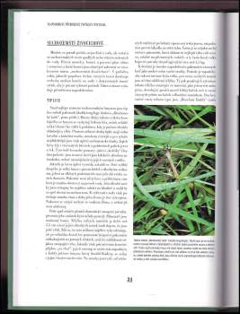 Peter Gathercole: Lov pstruhů na umělé mušky