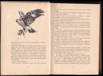 Eduard Štorch: Lovci mamutů