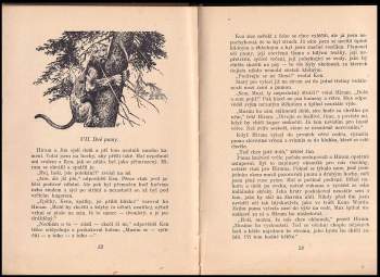 Zane Grey: Lovci šelem