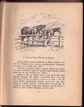 Zane Grey: Lovci šelem