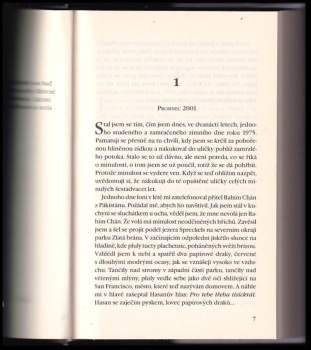 Khaled Hosseini: Lovec draků