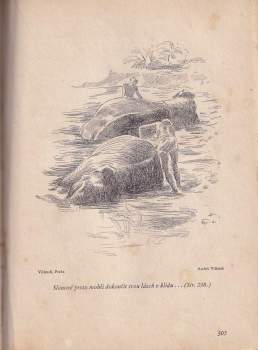 Arnould Galopin: Lovec šelem