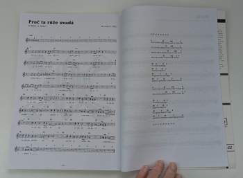 David Koller: LUCIE komplet