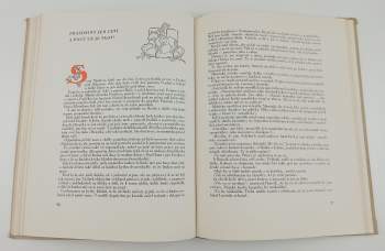 Anna Nora Jiroušková: Lucínkův rok na dědině