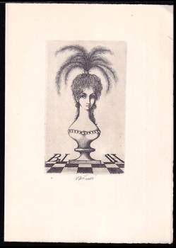 Ludmila Jiřincová: Ludmila Jiřincová