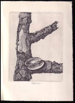 Ludmila Jiřincová: Ludmila Jiřincová