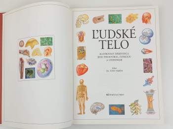 Tony Smith: Ľudské telo