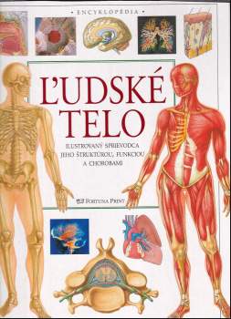 Ľudské telo