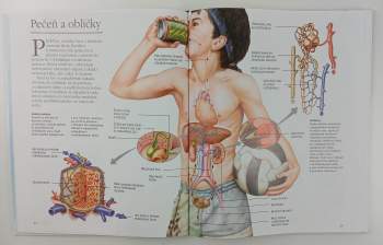 Kate Barnes: Ľudské telo