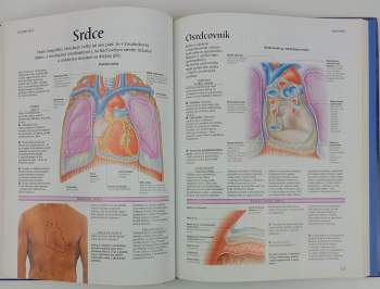 Peter H Abrahams: Ľudské telo