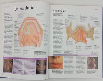 Peter H Abrahams: Ľudské telo