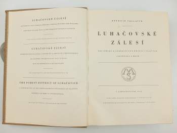Antonín Václavík: Luhačovské Zálesí