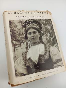 Antonín Václavík: Luhačovské Zálesí