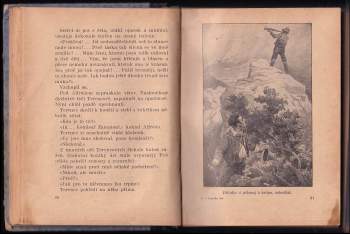 Sláva Václav Jelínek: Lupička Isa