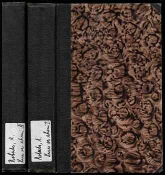 Luza ve zbrani--