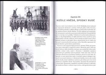 Vladimír Mertlík: Lví silou, vzletem sokolím