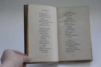 Rudolf Medek: Lví srdce