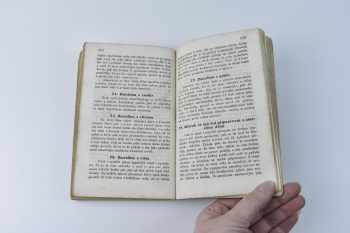 Magdalena Dobromila Rettigová: Domácí kuchařka, aneb, Snadno pochopitelné a vyskoumané poučení, kterak se masité i postní pokrmy nejchutnějším způsobem vaří, pečou a zadělávají