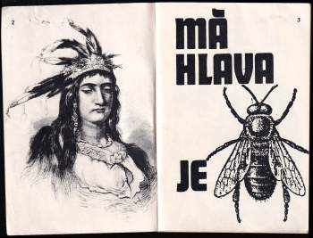 Josef Dvořák: Má hlava je včelín
