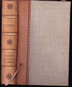 Má pouť životem a uměním