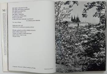 Vilém Heckel: Má vlast