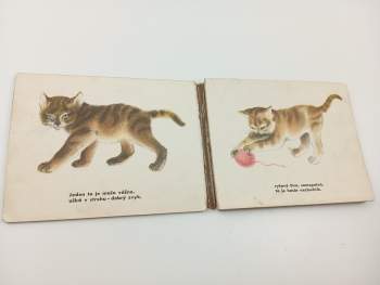 Sergej Vladimirovič Michalkov: Mačiatka