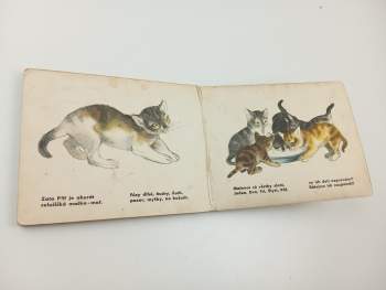 Sergej Vladimirovič Michalkov: Mačiatka