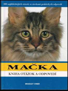 Kočka