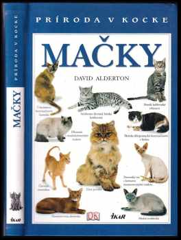 Mačky