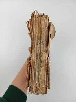 Magdalena Dobromila Rettigová: Magdaleny Dobromily Rettigové Domácí kuchařka, čili, Snadno pochopitelné a prozkoumané poučení, kterak se masité i postní pokrmy všeho druhu nejchutnějším způsobem vaří, pekou a zadělávají