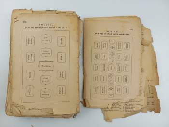 Magdalena Dobromila Rettigová: Magdaleny Dobromily Rettigové Domácí kuchařka, čili, Snadno pochopitelné a prozkoumané poučení, kterak se masité i postní pokrmy všeho druhu nejchutnějším způsobem vaří, pekou a zadělávají