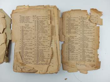 Magdalena Dobromila Rettigová: Magdaleny Dobromily Rettigové Domácí kuchařka, čili, Snadno pochopitelné a prozkoumané poučení, kterak se masité i postní pokrmy všeho druhu nejchutnějším způsobem vaří, pekou a zadělávají