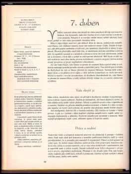 Saffi Crawford: Magická hra čísel a hvězd