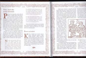 Otomar Dvořák: Magická kuchařka