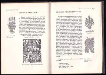 Josef Veselý: Magická kuřidla