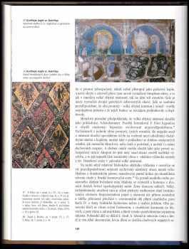 Hana Blochová: Magister Theodoricus