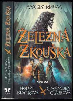 Magisterium