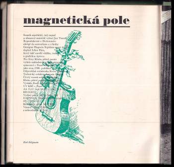 Magnetická pole
