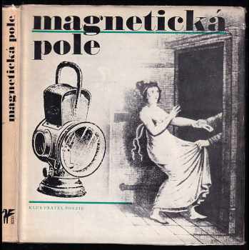 Magnetická pole