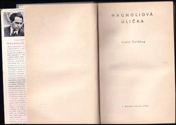 Louis Golding: Magnoliová ulička