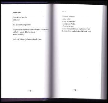 Ivan Martin Jirous: Magorova summa