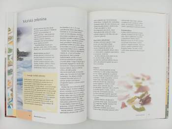 Simon Brown: Makrobiotika pro každý den