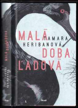 Malá doba ľadová