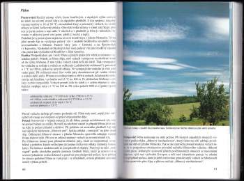 Günter D Roth: Malá encyklopedie počasí