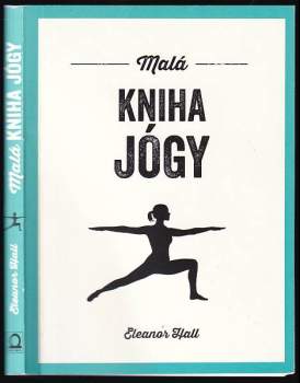 Malá kniha jógy
