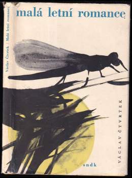 Malá letní romance