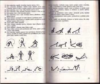 René Srdínko: Malá škola juda